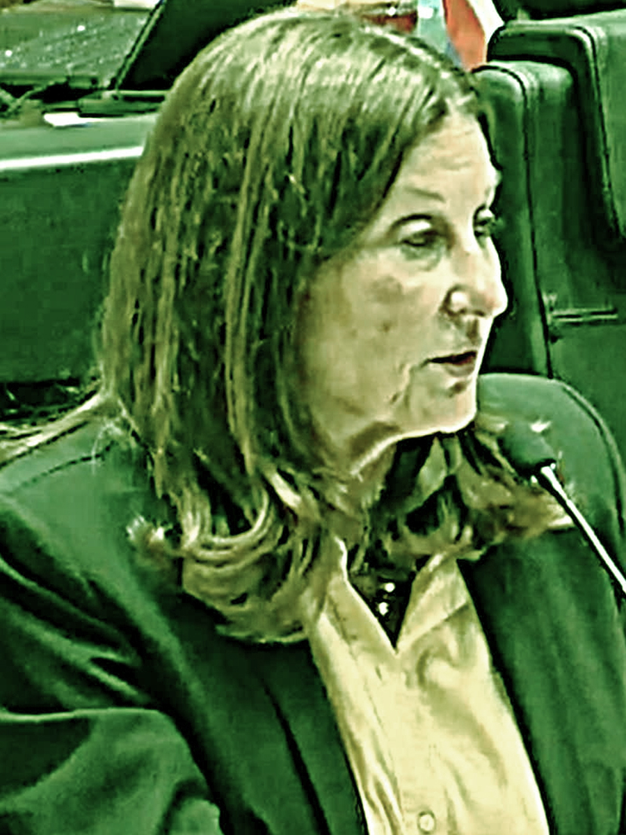 Gay Donnell Willis speaking at Dallas City Council